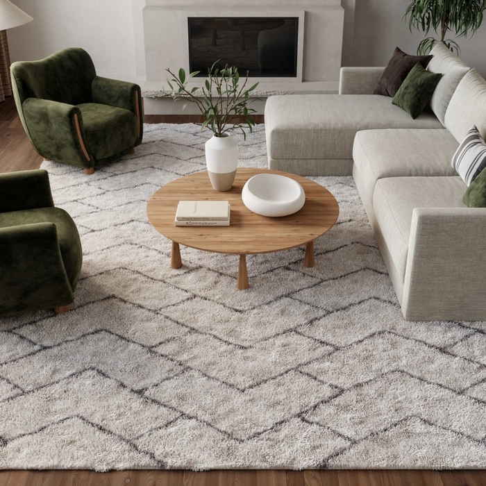 Dreamy Shag Drs03 Ivory Grey Area Rug