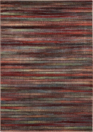 Expressions Xp11 Multicolor