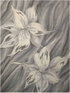Fantasy Fa28 Grey Rug