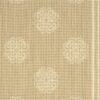 Fashion Pointe 3 New Asiana Fp720 Sand/Ivory Broadloom