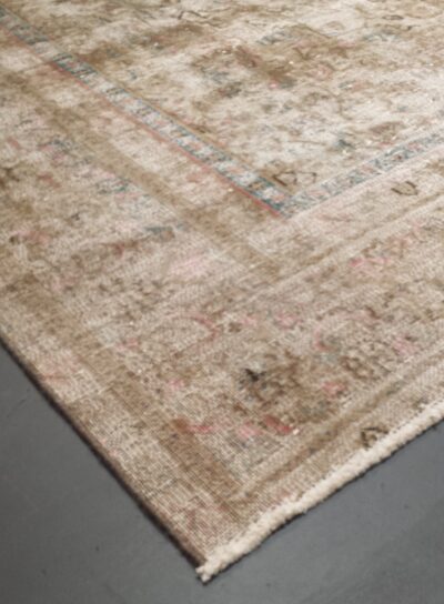Artemisa 224 Multi 9' 2" X 11' 8"