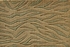 Cosmopolitan Urban Tiger C29F Beige/Green Broadloom