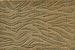 Cosmopolitan Urban Tiger C29F Beige/Green Broadloom