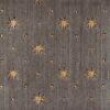 Cosmopolitan Celestial C95F Grey Broadloom