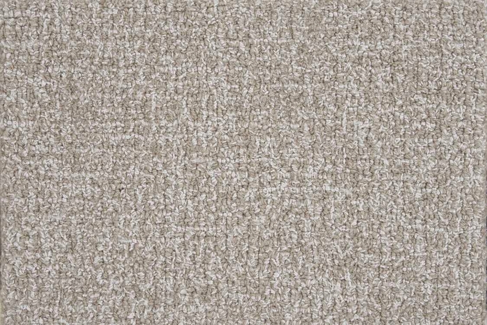 Ventura Vntur Papyrus