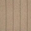 Pacific Stripe Pacst Prairie
