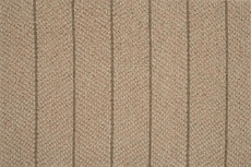 Pacific Stripe Pacst Prairie