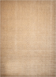 slkal_slk01_san_9x12_099446145246_main-2.jpg Silken Allure Slk01 Sand