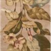 Tropics Ts04 Beige Rug