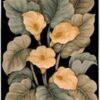 Tropics Ts08 Black Rug