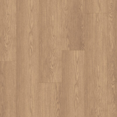 Authentic Intuition Baronia Brown