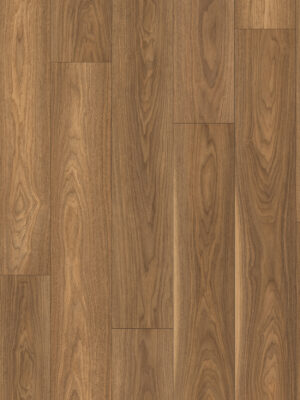 Authentic Intuition Baronia Walnut