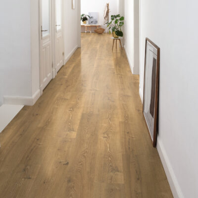 Authentic Titan Bayford Natural