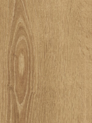 Authentic Titan Bayford Natural