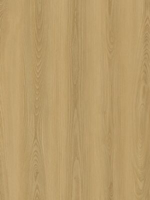 Evolution Rise Serie Corvi