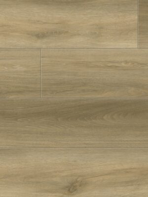 Evolution Magma XL Wheat